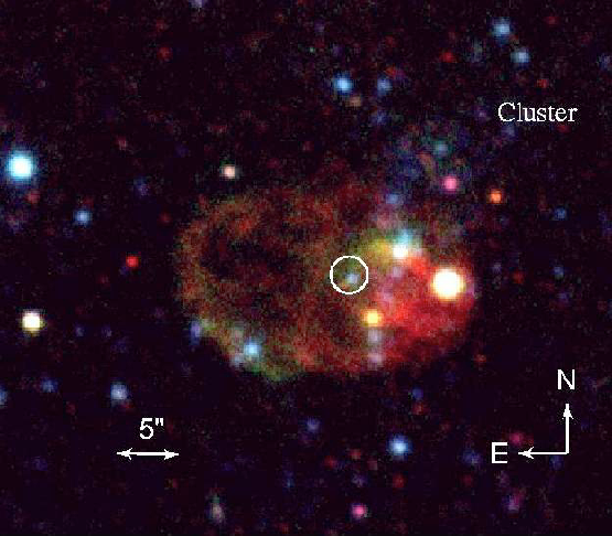 ULX around NGC 1313